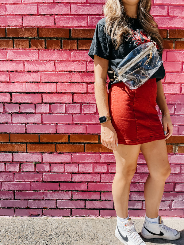 The Shania Clear Stadium Sling Bag - Tan
