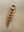 Braided Leather Keychain