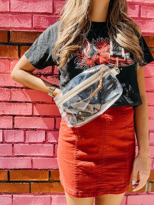 The Shania Clear Stadium Sling Bag - Tan